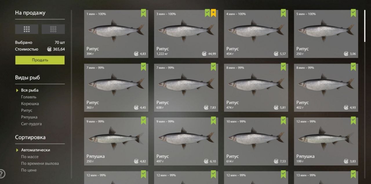 Ладожское озеро — Садок