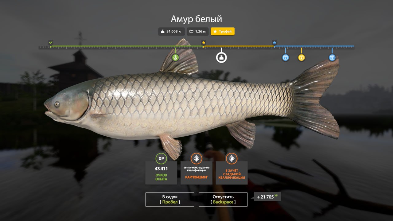 Озеро Старый Острог — Трофей