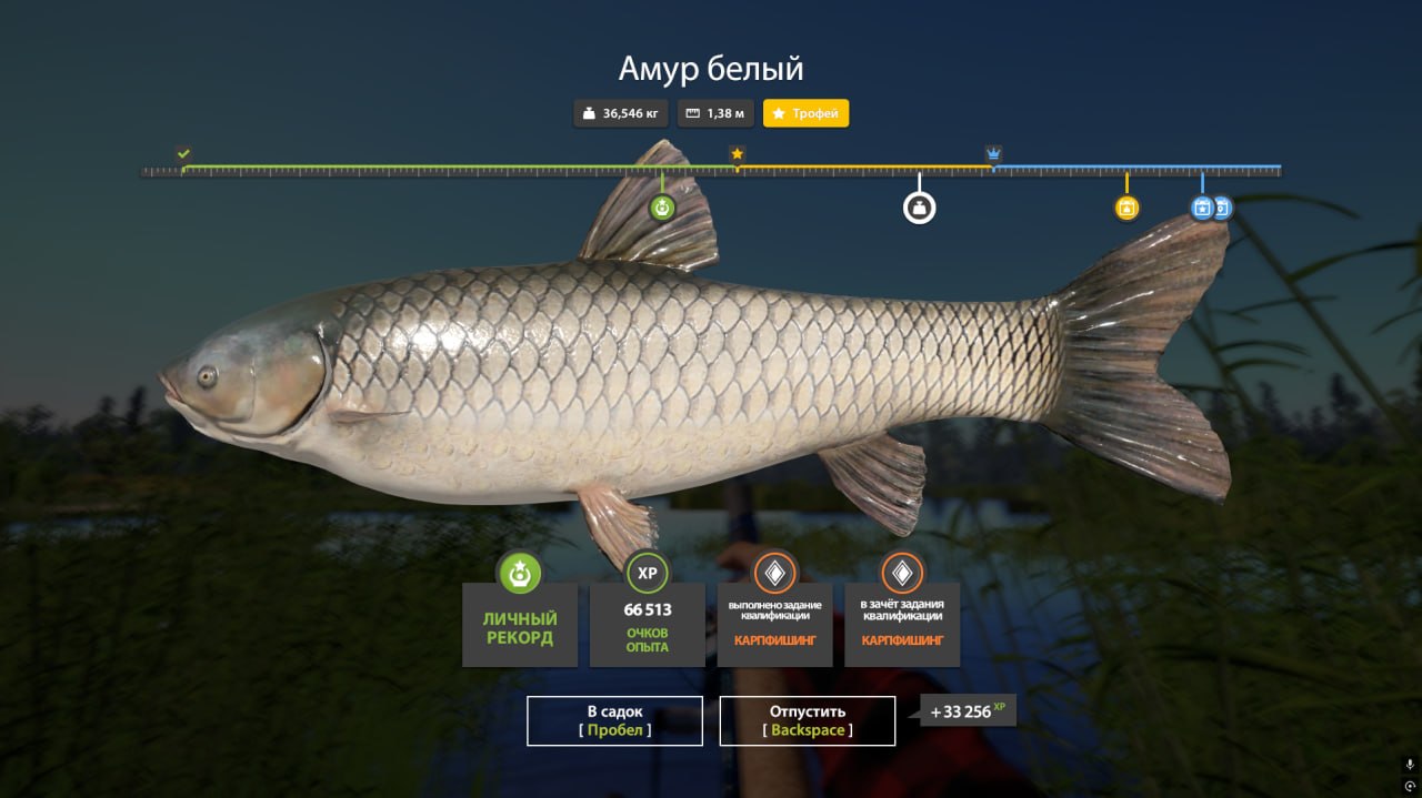 Трофей — Озеро Медвежье