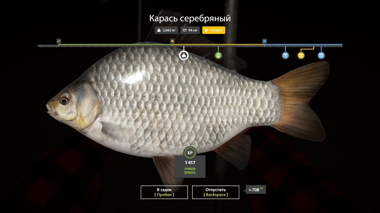 Winding Rivulet — Trophy