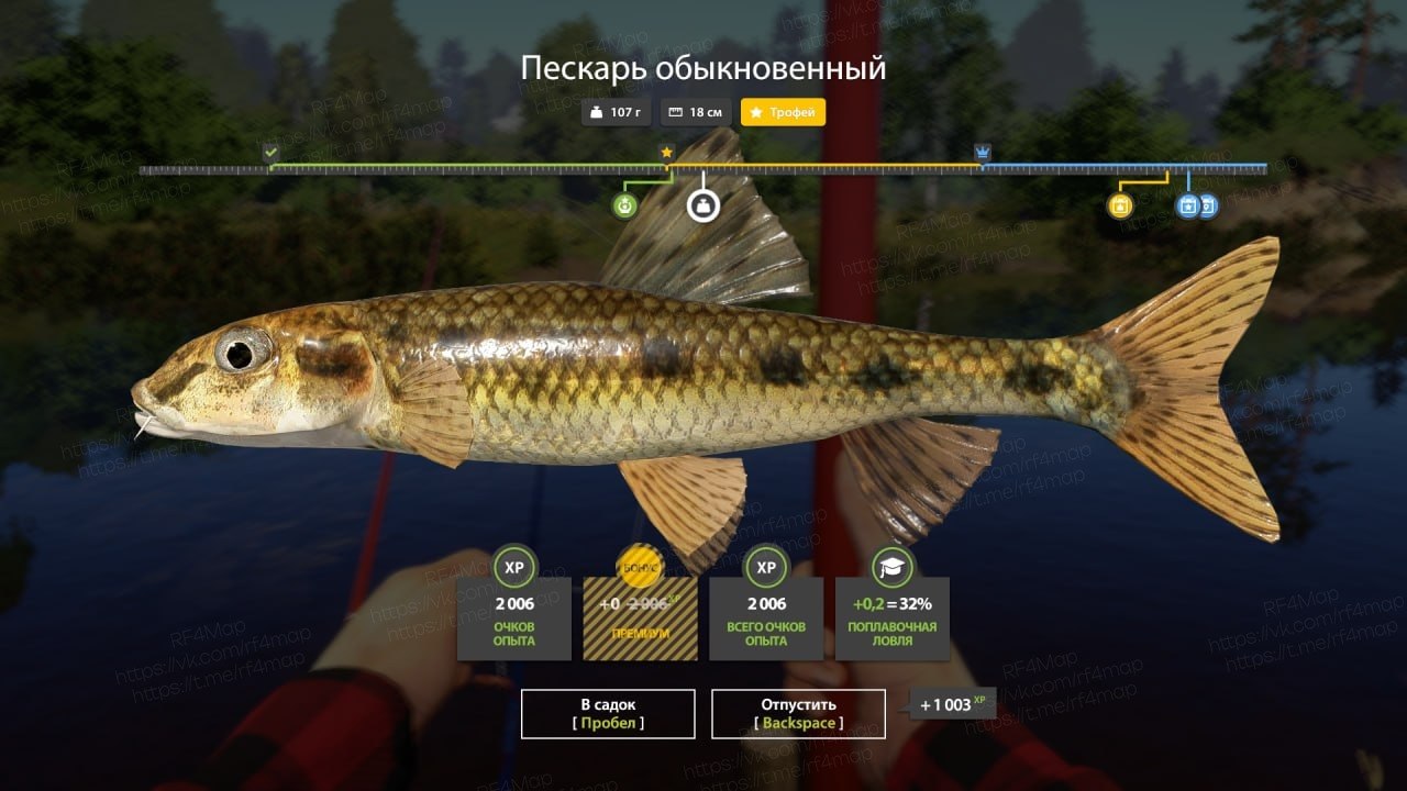 Winding Rivulet — Trophy