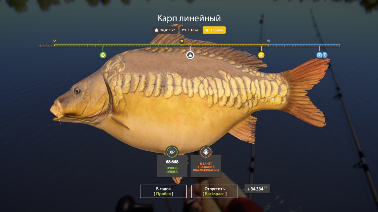 Трофей — Озеро Янтарное