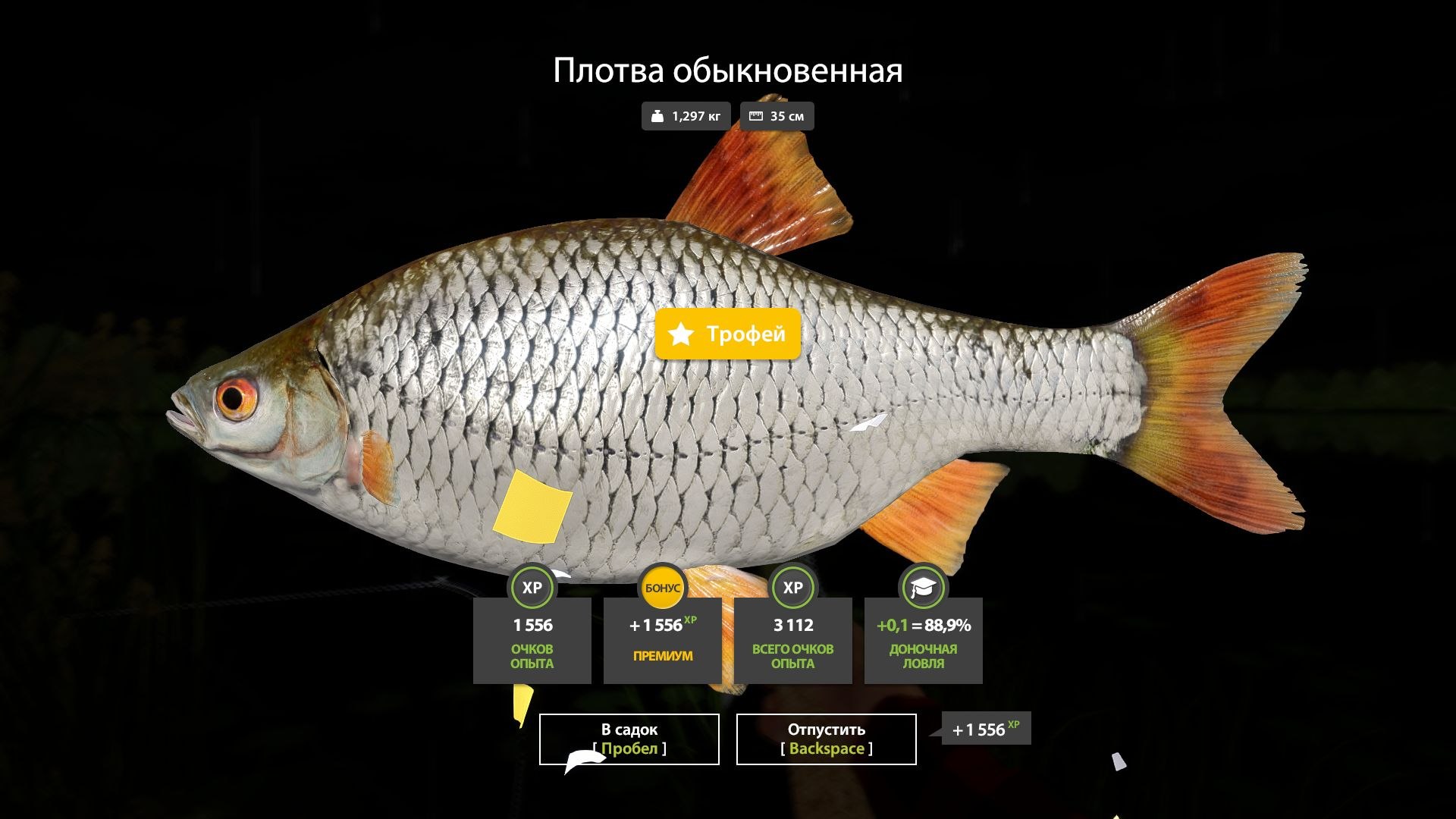 The Amber Lake — Trophy