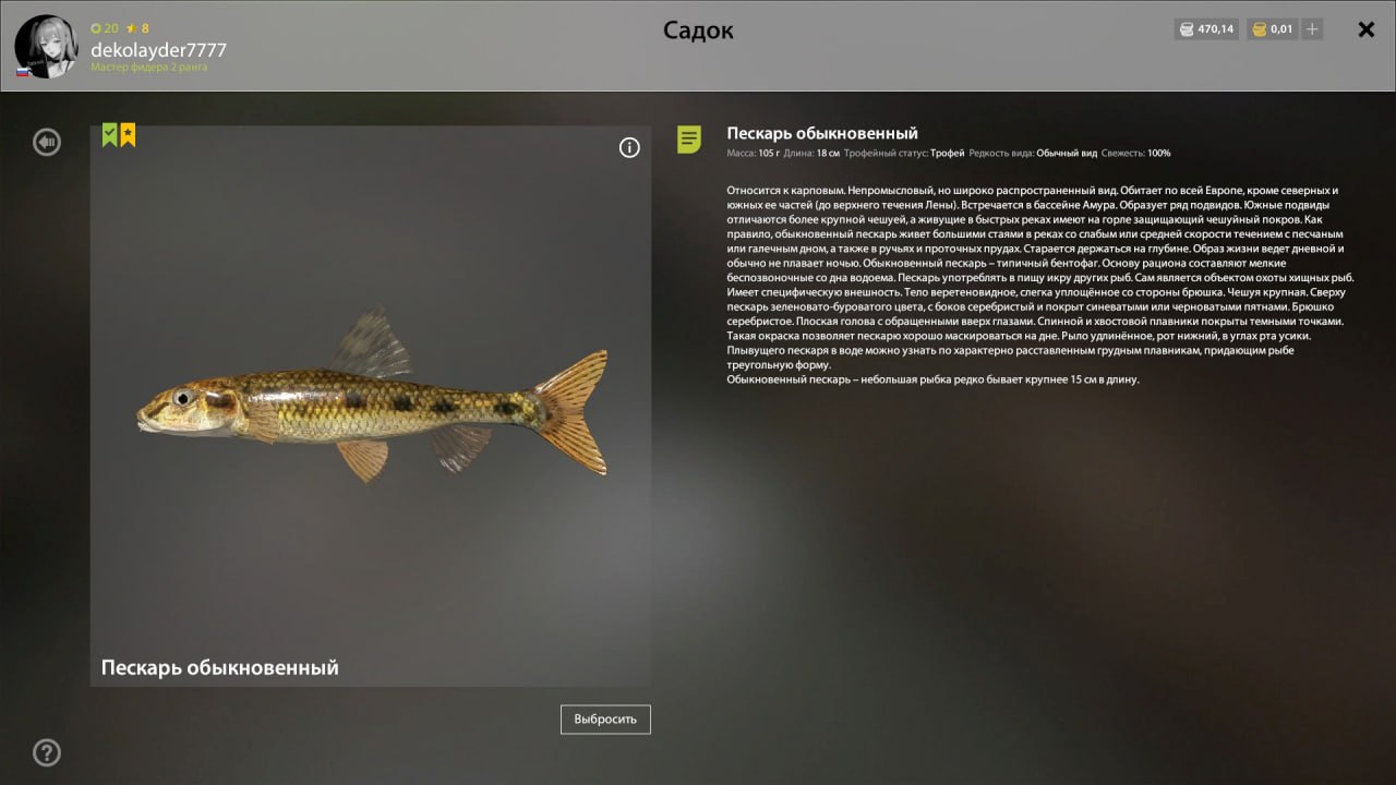 Winding Rivulet — Trophy