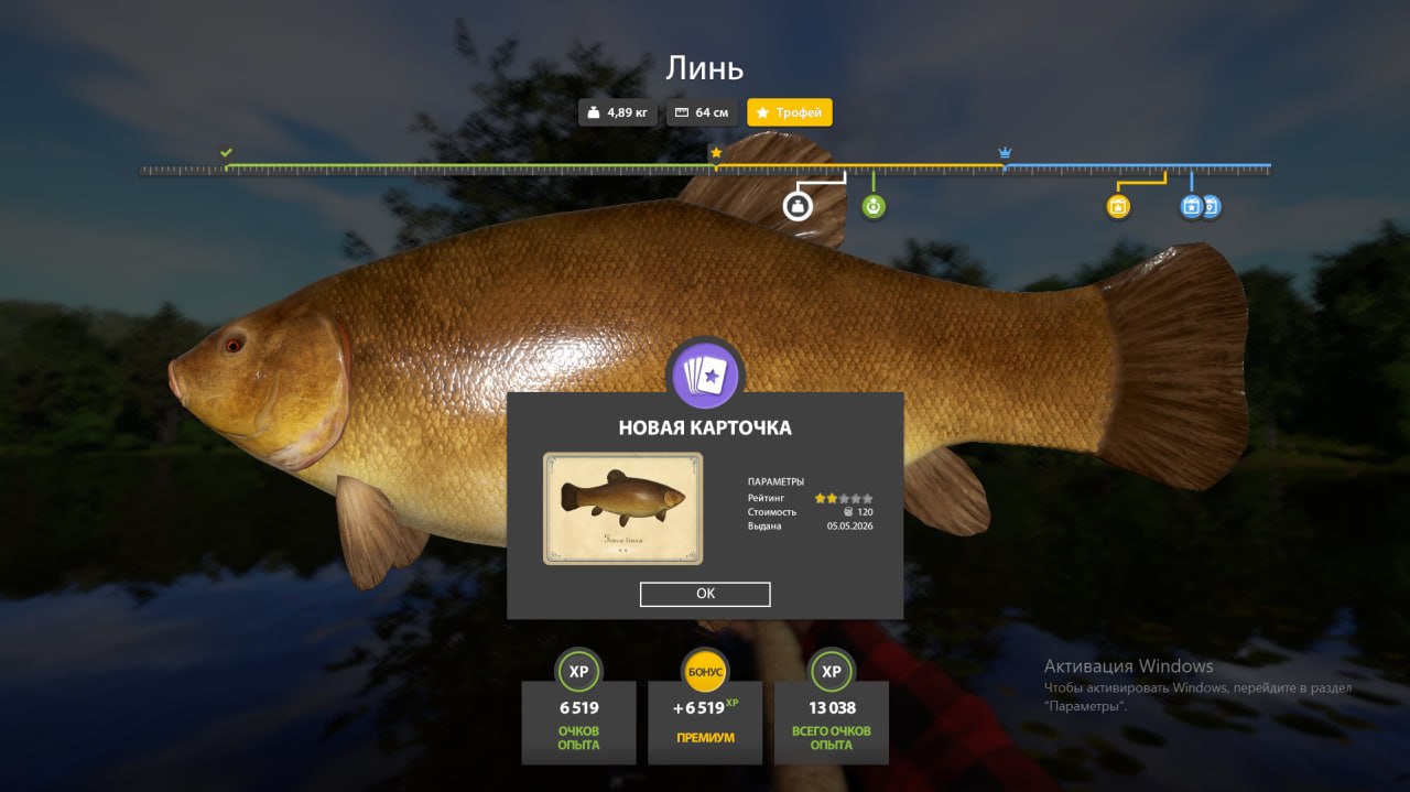 Copper Lake — Trophy