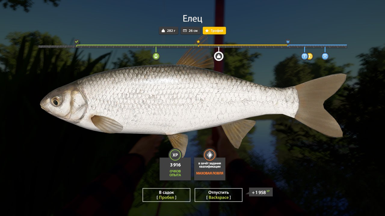Seversky Donets River — Trophy