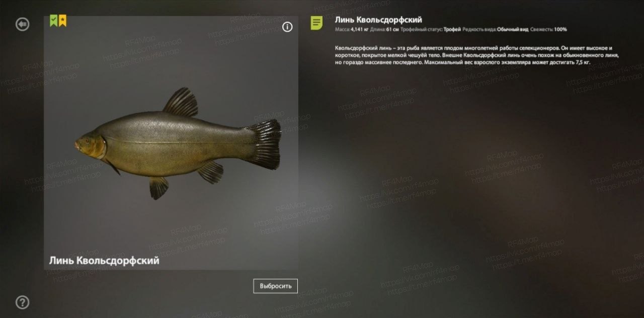 Озеро Медное