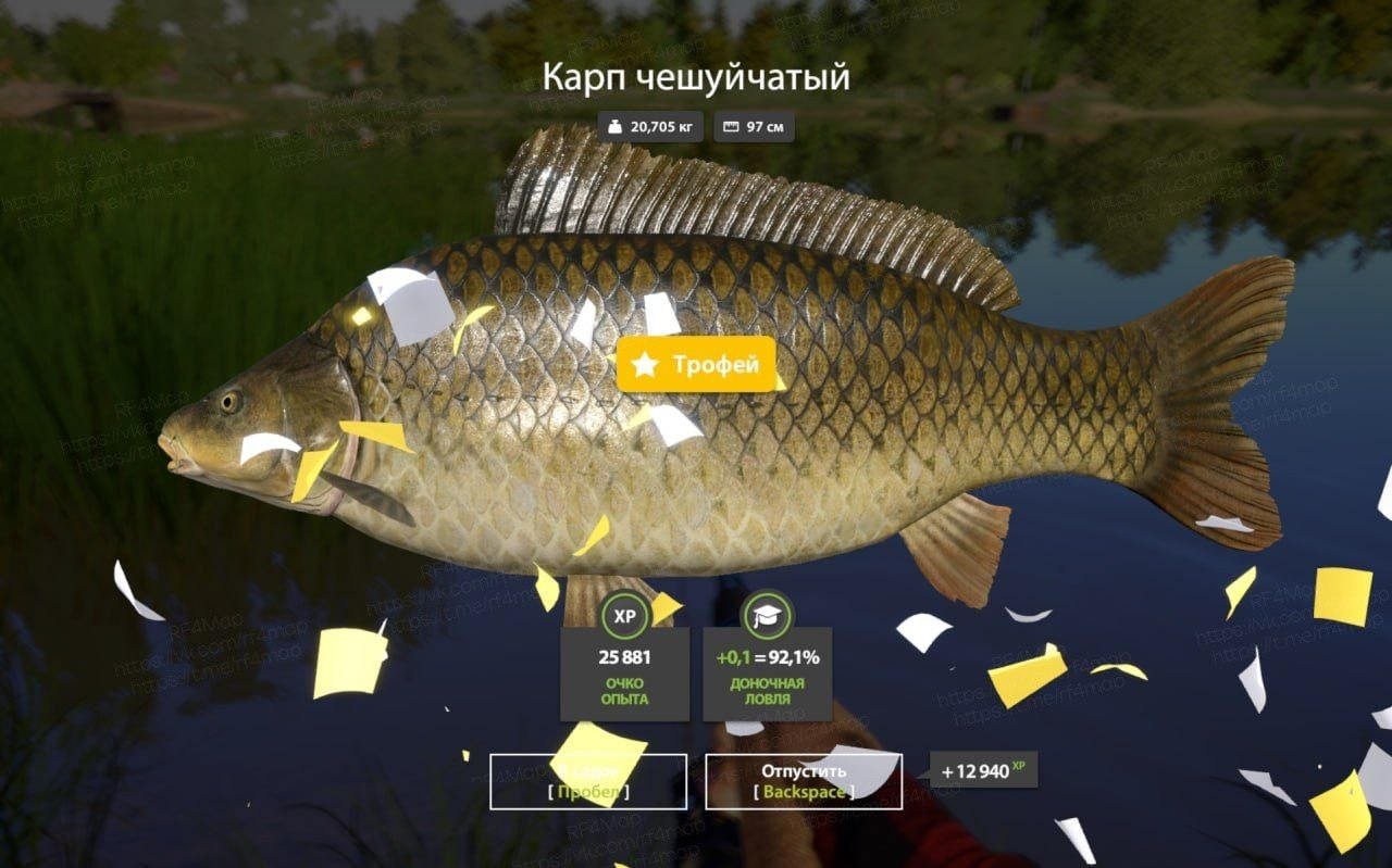 The Amber Lake — Trophy