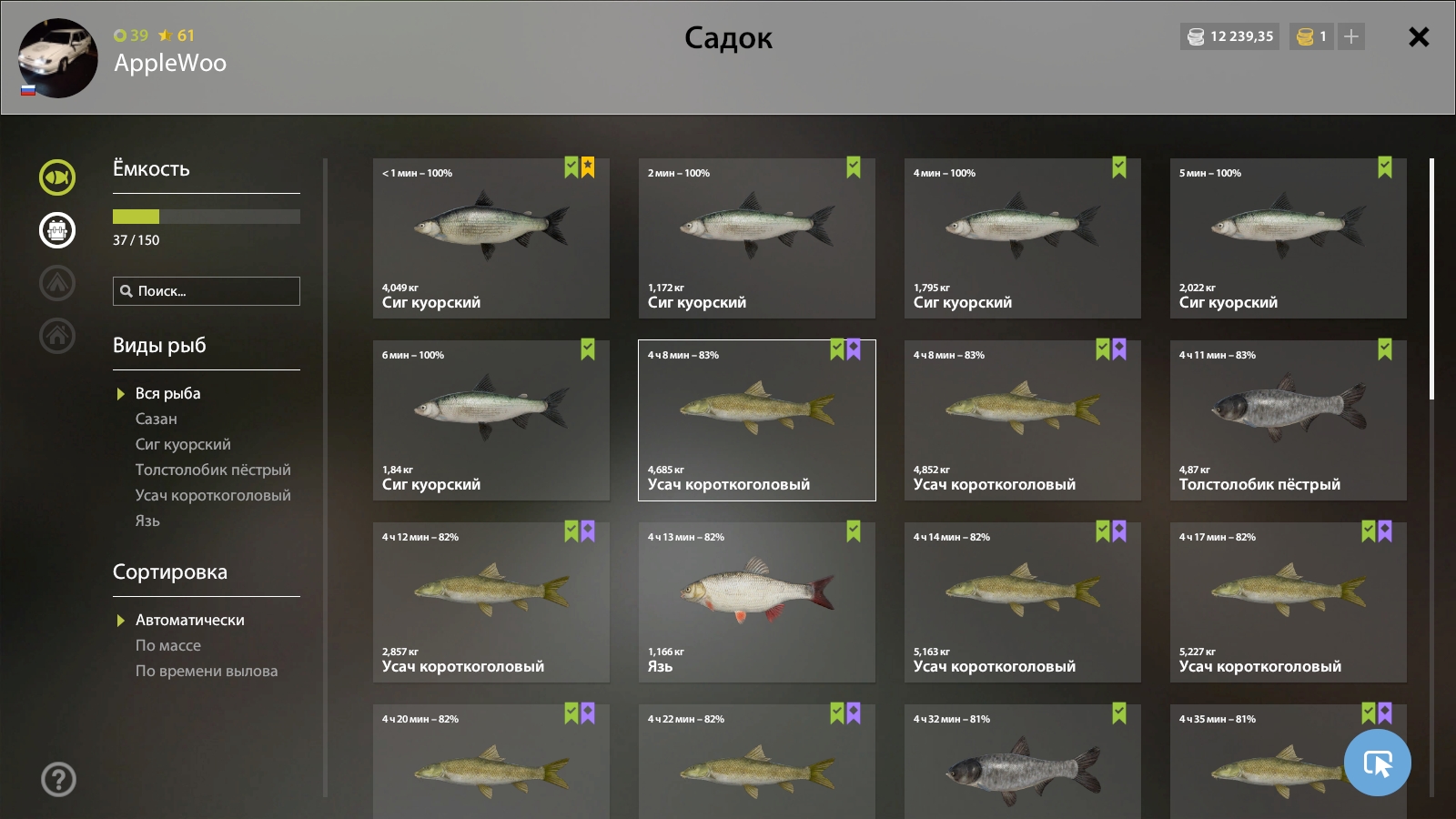 Садок — Озеро Куори