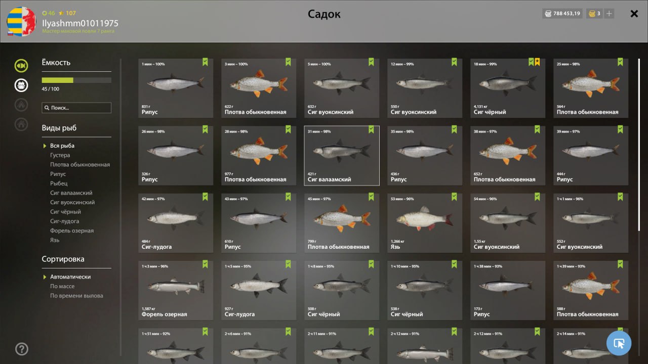 Садок — Ладожский архипелаг