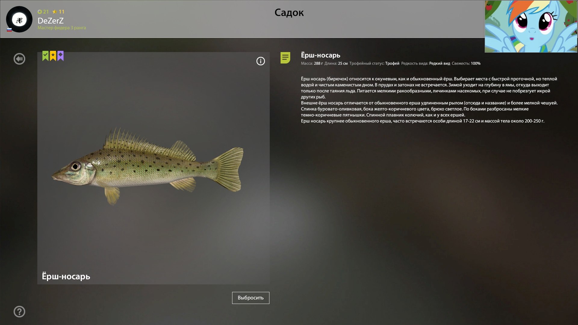 Trophy — Winding Rivulet