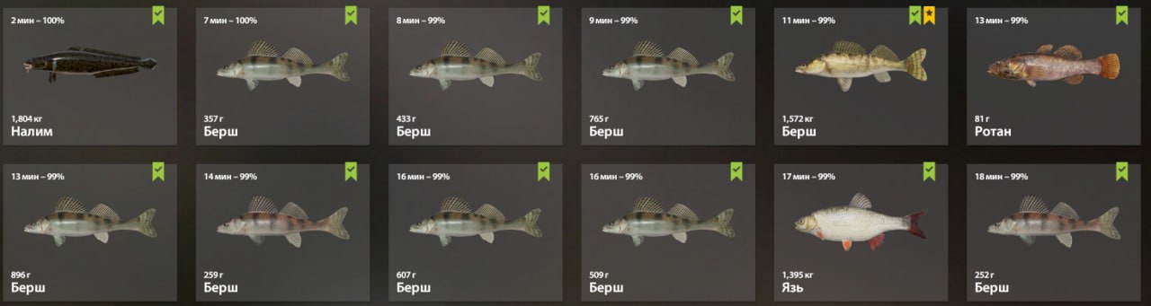 Река Вьюнок — Садок