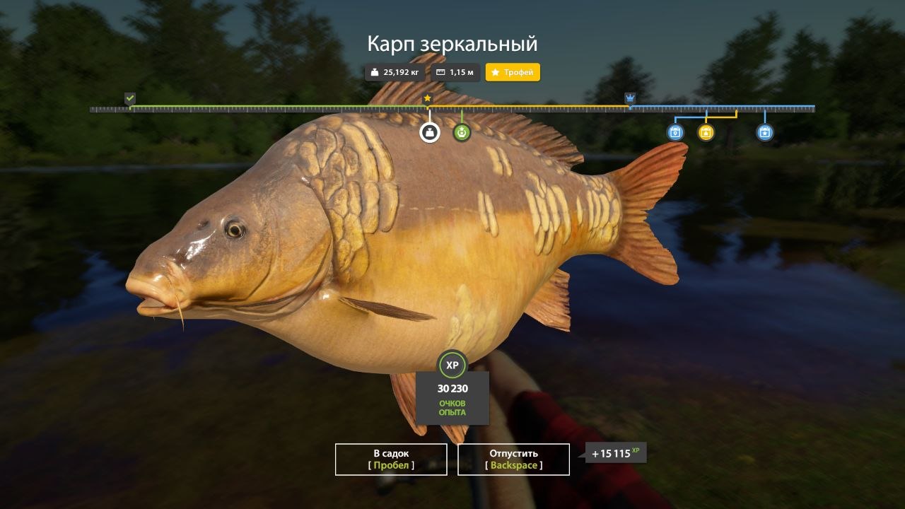 Trophy — Copper Lake