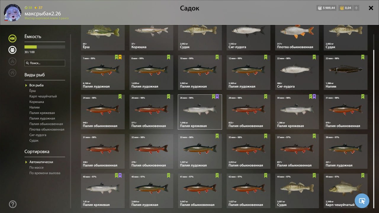 Садок — Ладожский архипелаг