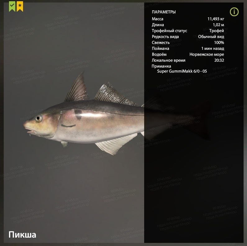 Норвежское море
