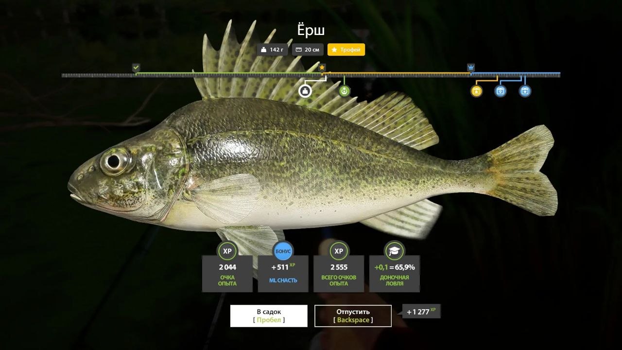 Trophy — Seversky Donets River