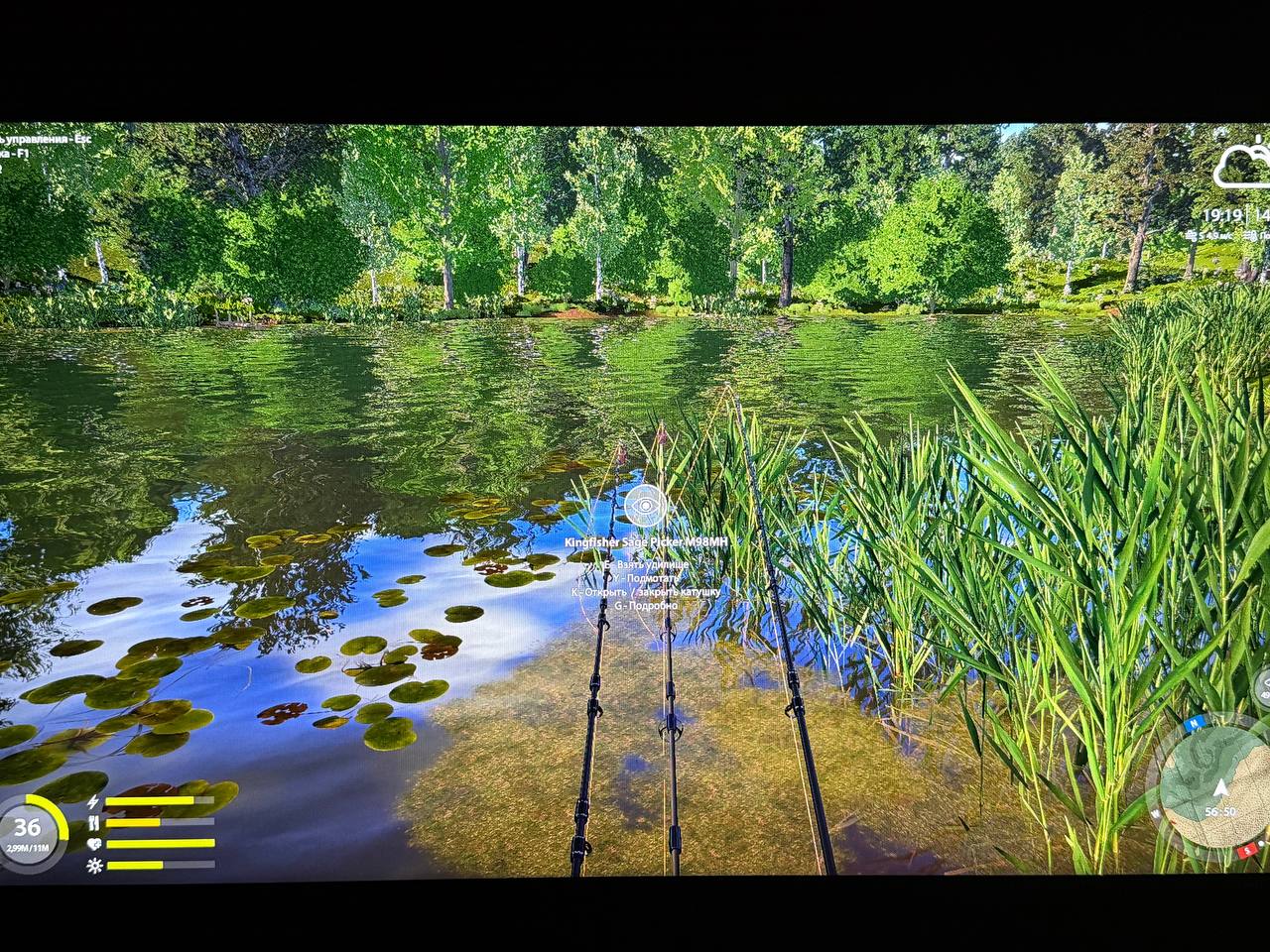 Spot — Copper Lake