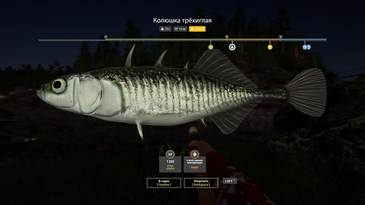Ladoga Lake — Trophy