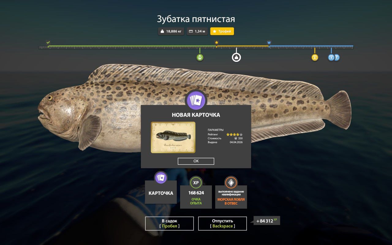 Trophy — Norwegian Sea