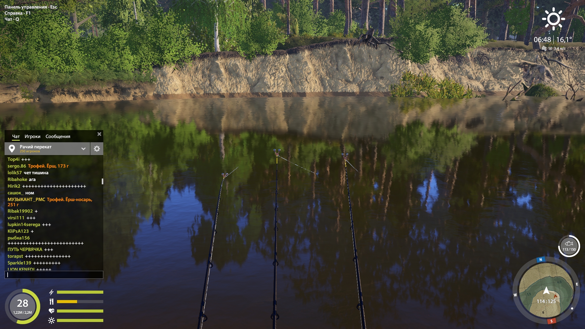Winding Rivulet — Spot