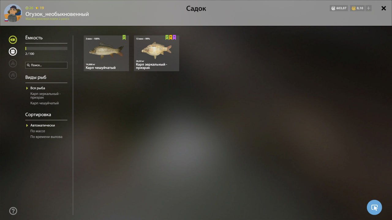 Садок — Озеро Янтарное