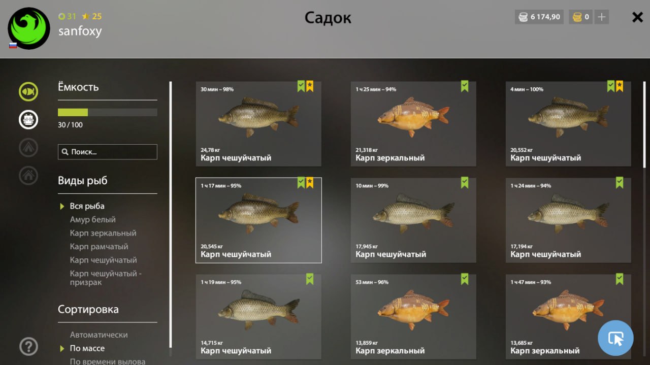 Садок — Озеро Янтарное