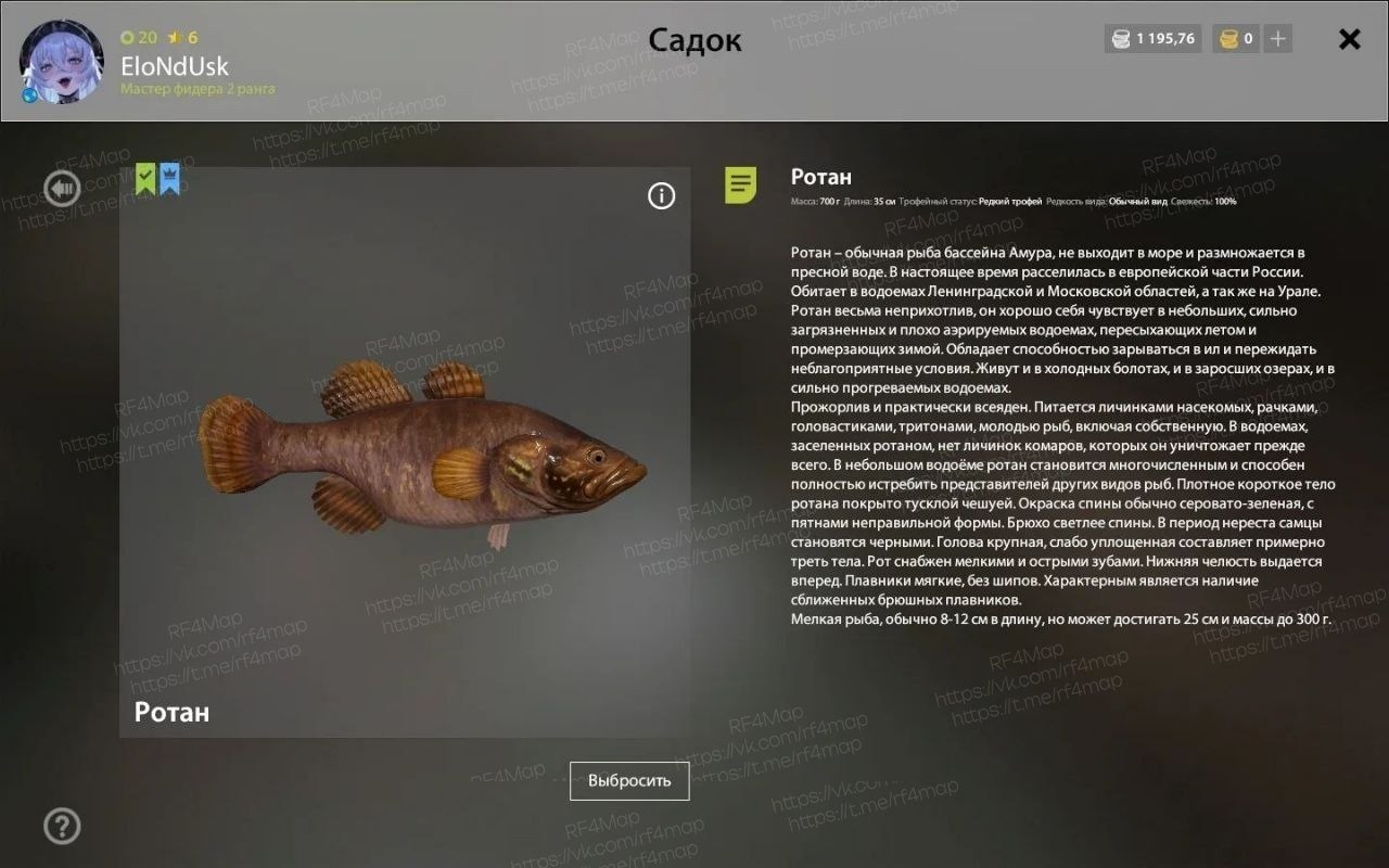 Озеро Комариное