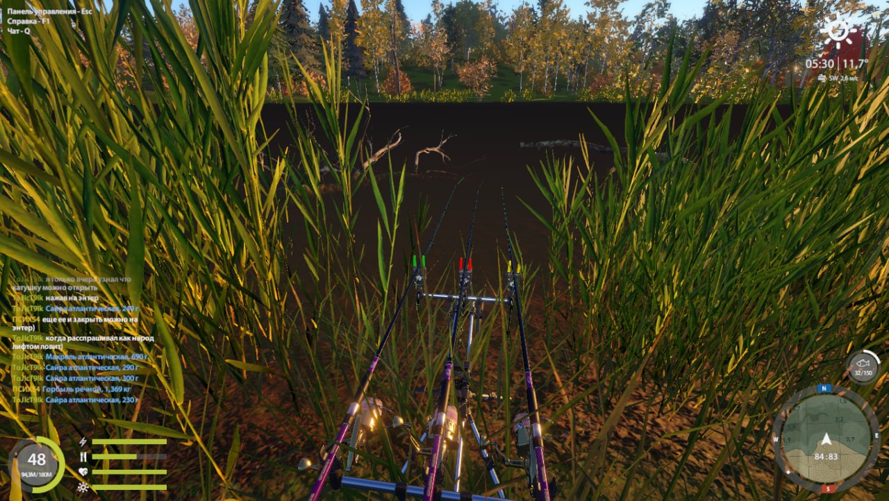 Озеро Лосиное — Точка