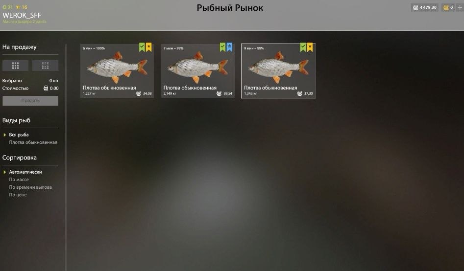 Keepnet — Ladoga Lake