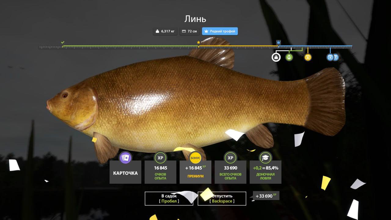 Трофей — Озеро Медное