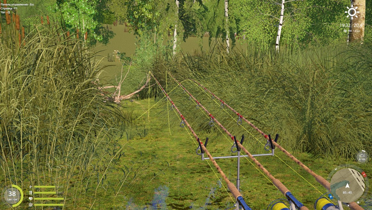 Spot — Mosquito Lake