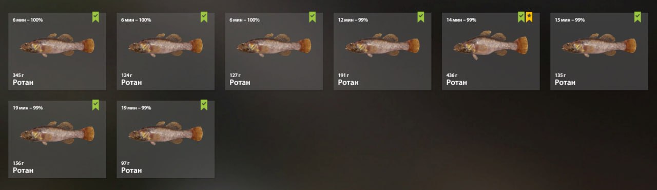 Keepnet — Mosquito Lake