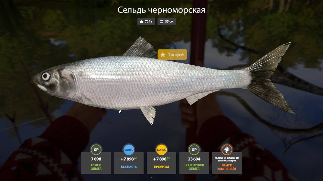 Трофей — Река Северский Донец