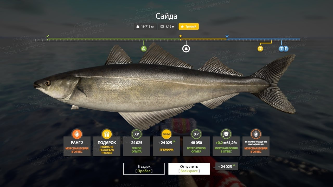 Norwegian Sea — Trophy
