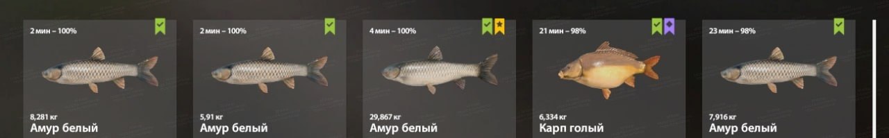 Озеро Медвежье — Разное