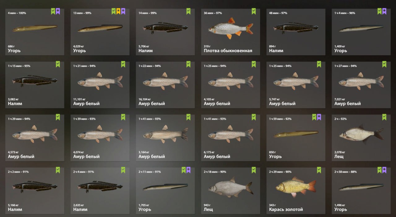 Keepnet — Old Burg Lake