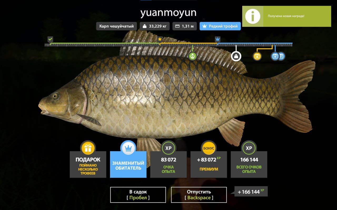 Trophy — The Amber Lake