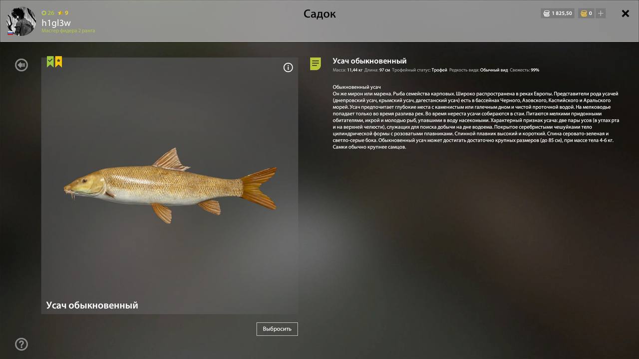 Трофей — Озеро Медвежье