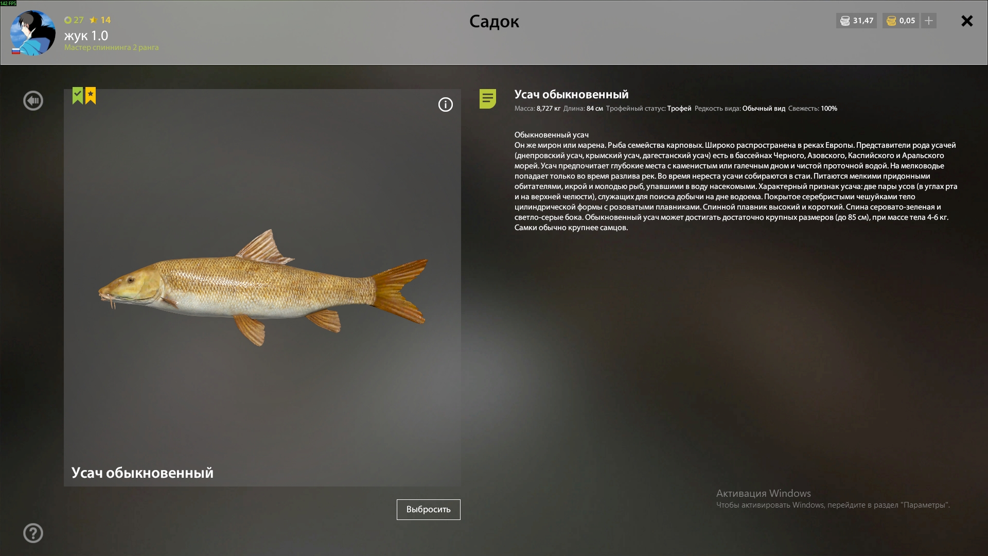 Trophy — Bear Lake