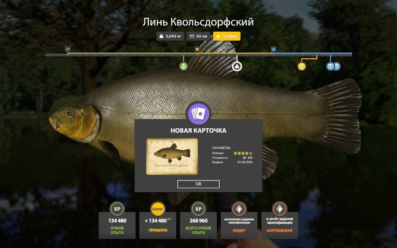 Trophy — Copper Lake