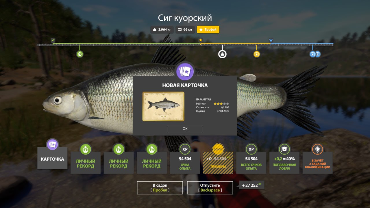 Trophy — Kuori Lake