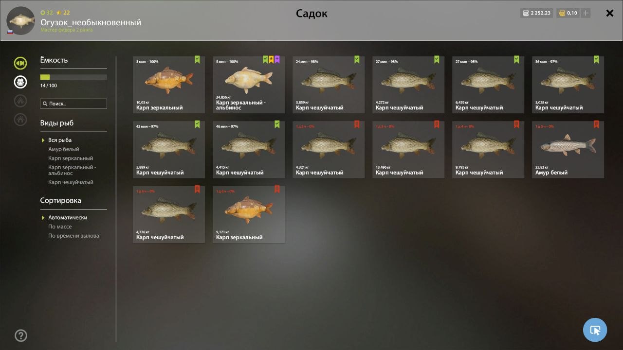 Озеро Янтарное — Садок