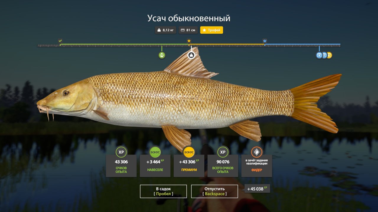 Bear Lake — Trophy