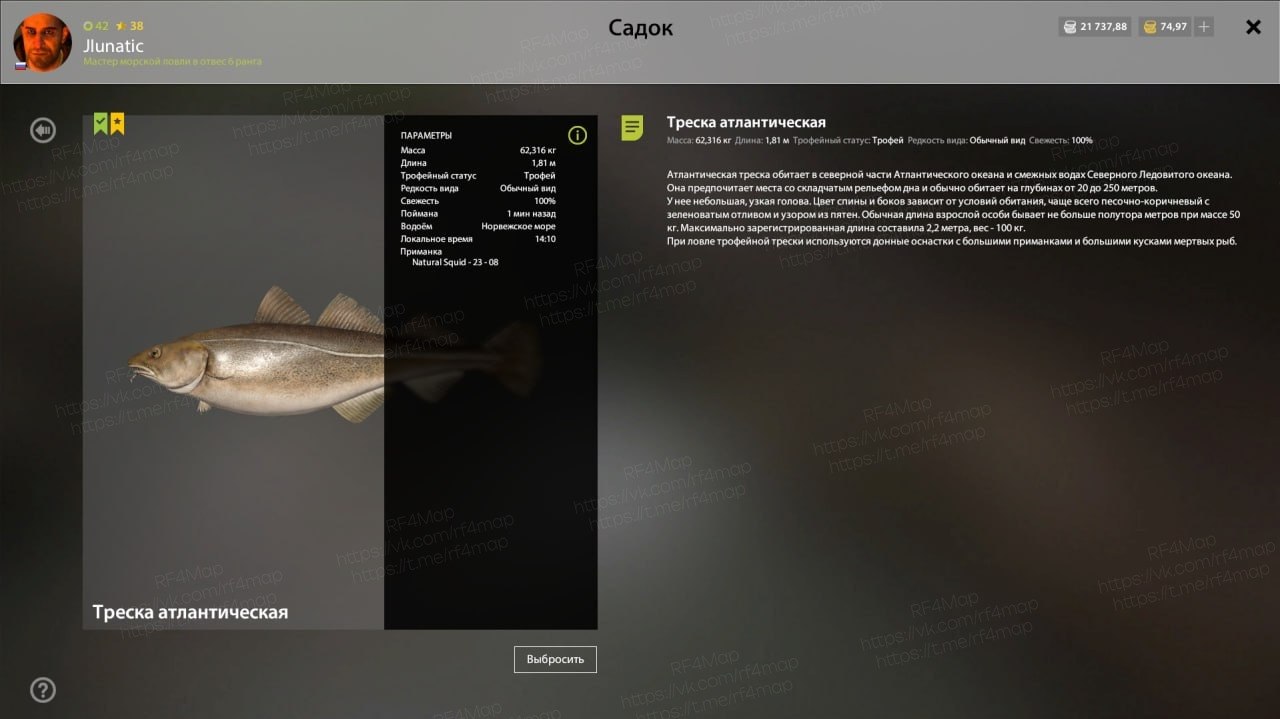 Норвежское море — Разное