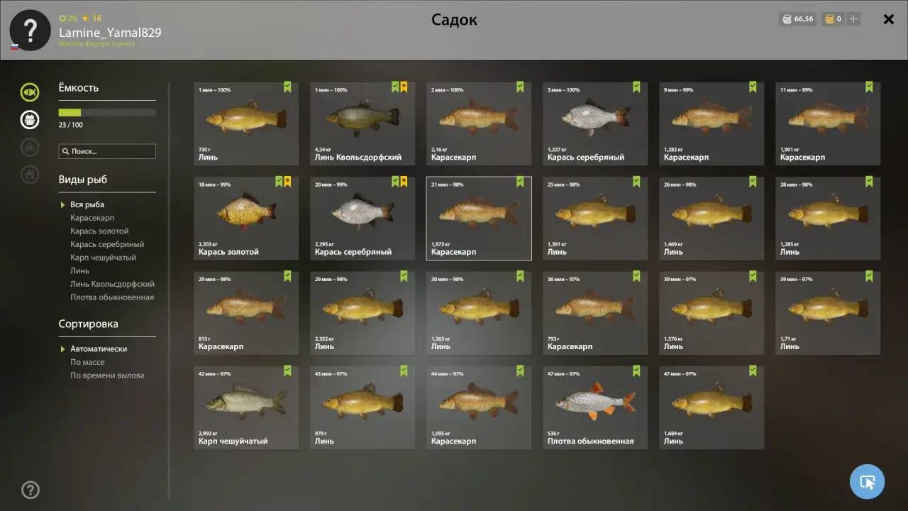 Садок — Озеро Медное