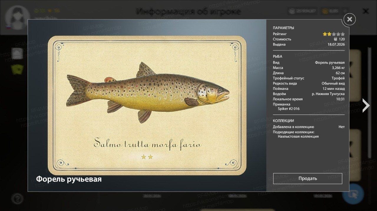 Lower Tunguska River — Trophy
