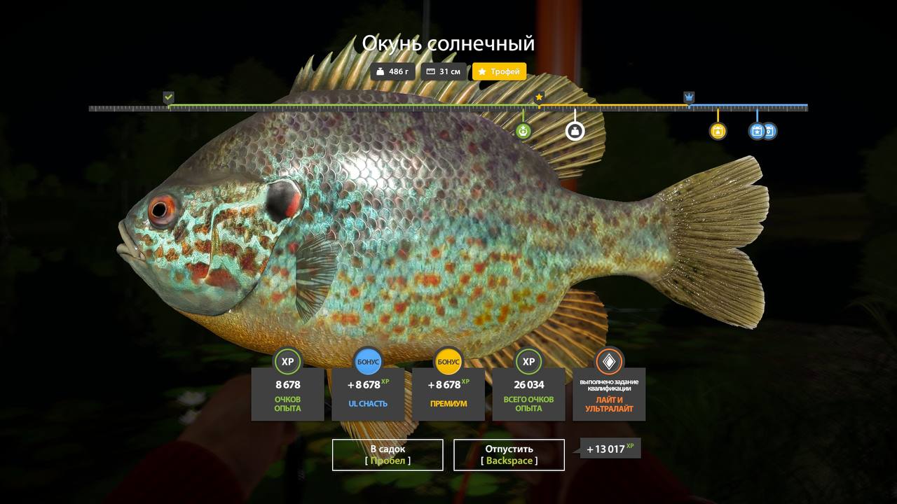 Trophy — Seversky Donets River