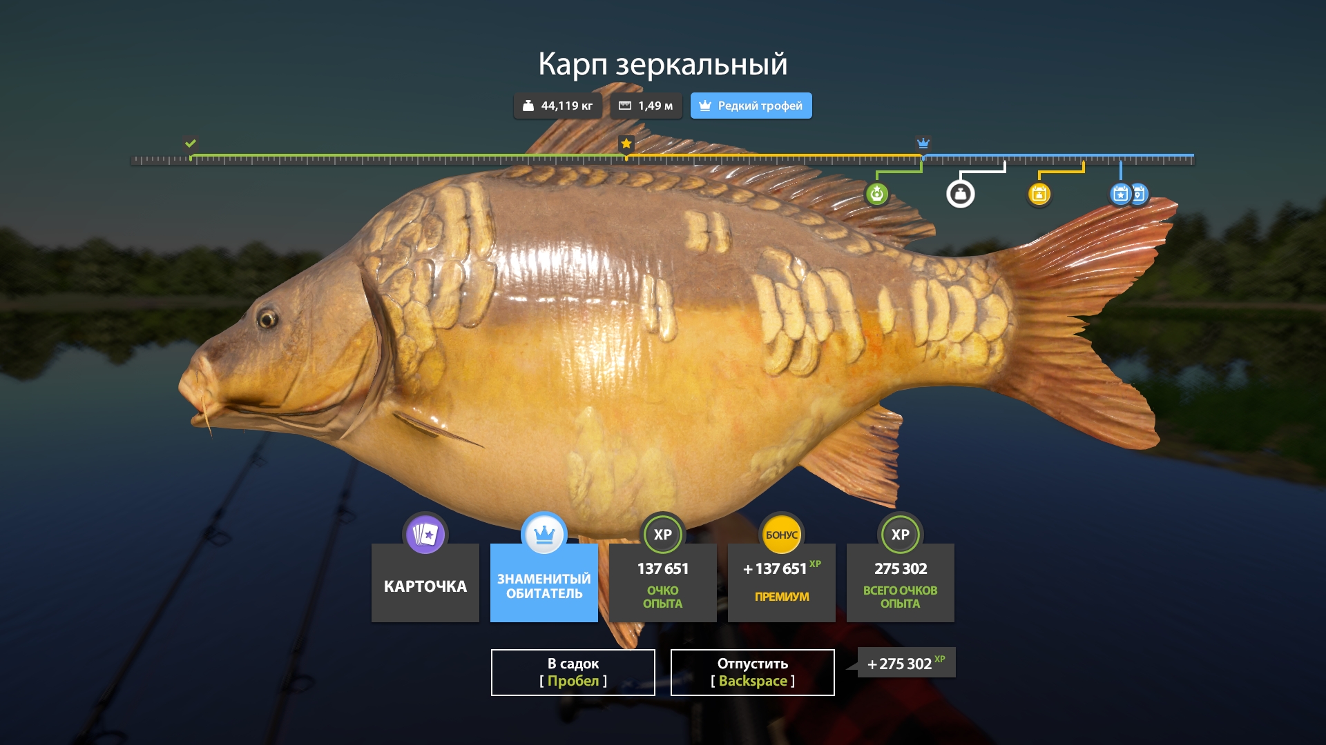 Trophy — The Amber Lake