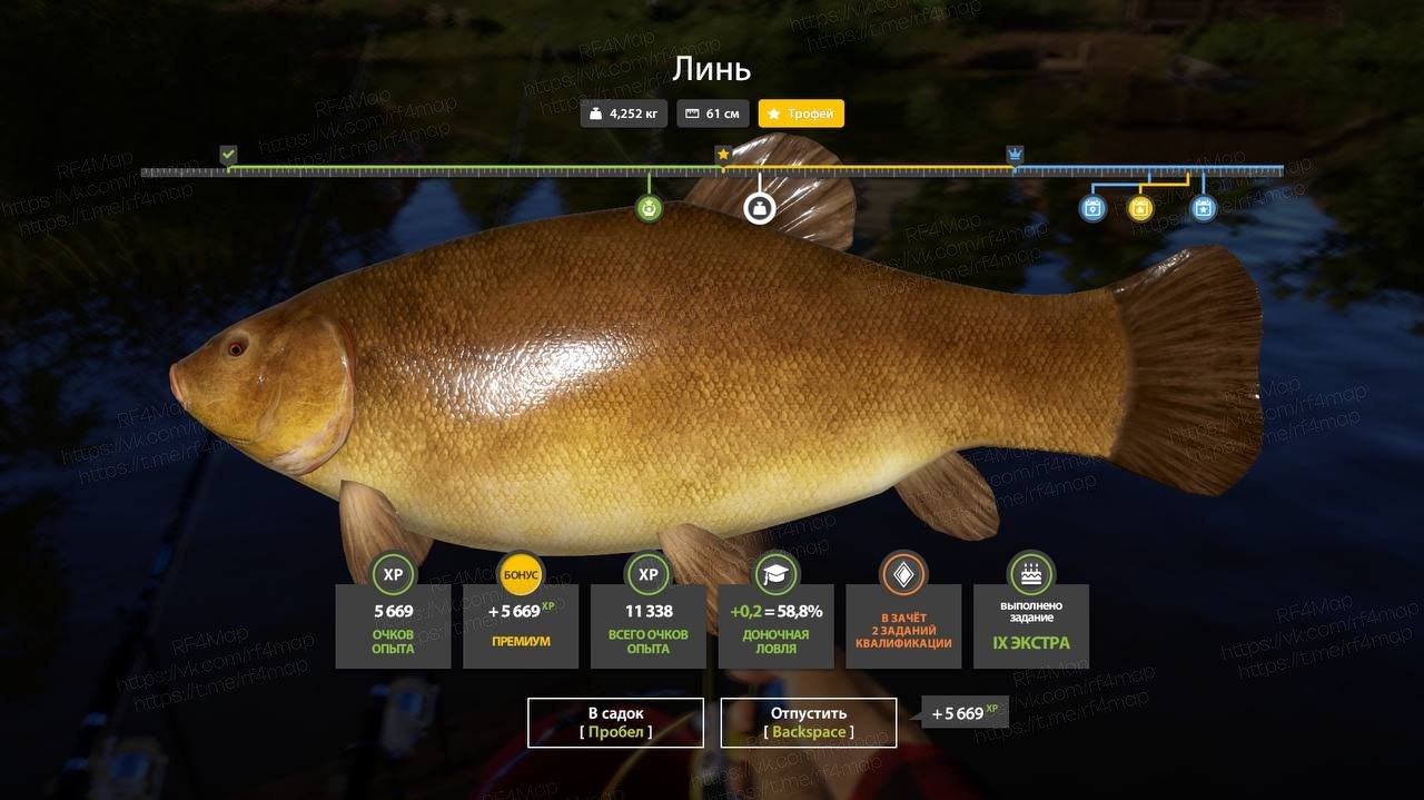 Mosquito Lake — Trophy