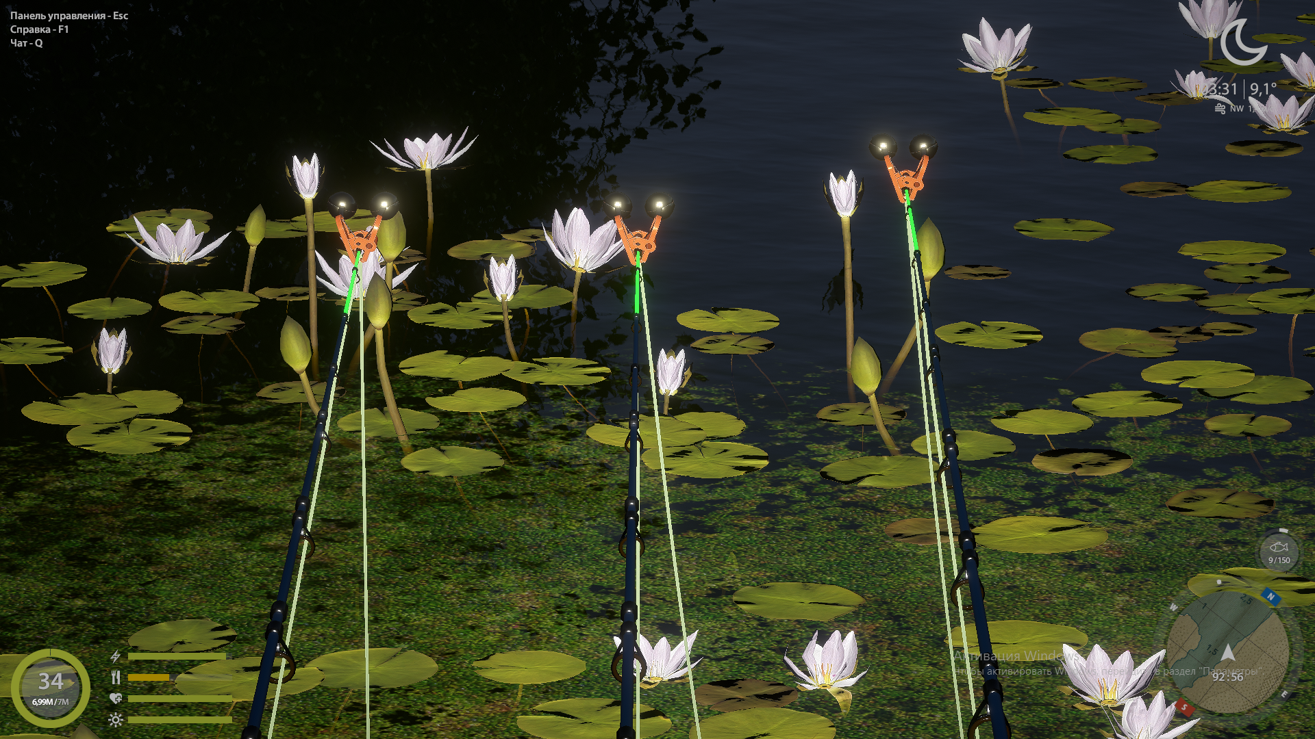 Mosquito Lake — Spot